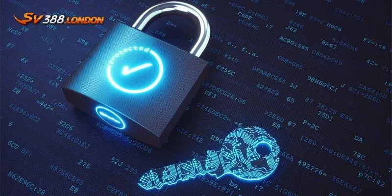 Chính sách bảo mật tài khoản người dùng