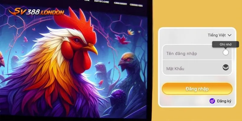 Điều kiện cần biết khi đăng nhập SV388