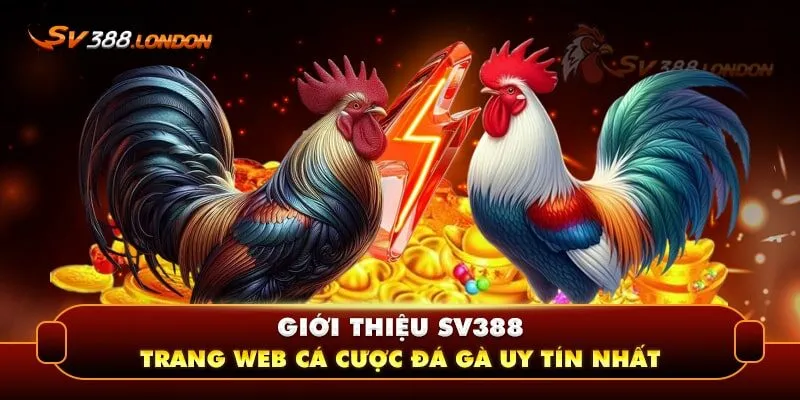 Giới thiệu tổng quan về nhà cái cá cược SV388