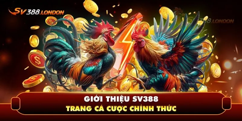 Giới thiệu trang cá cược chính thức SV388