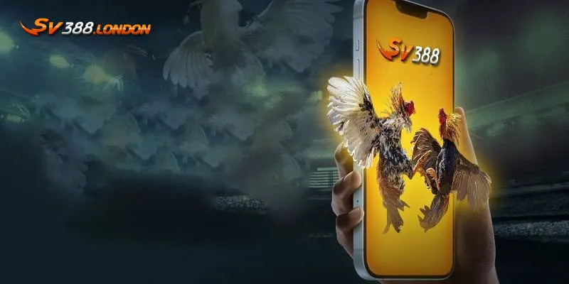 Giới thiệu về app SV388